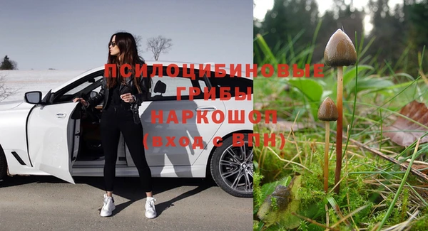 мяу мяу мука Абинск