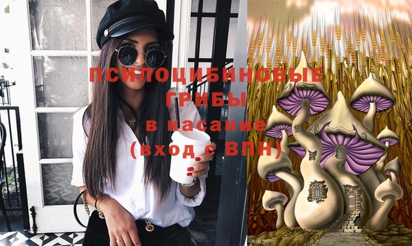 гидропоника Абаза