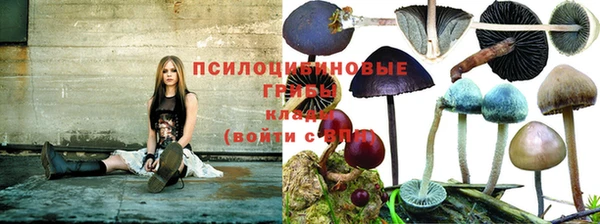 кокаин премиум Алзамай